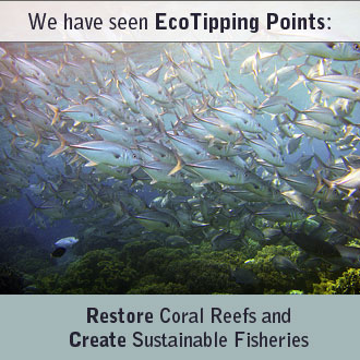 Marine Sanctuary: Restoring a Coral-Reef Fishery (Apo Island, Philippines)
