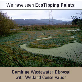 USA - California (Arcata) - Constructed Wetland: A Cost-Effective Alternative for Wastewater Treatment