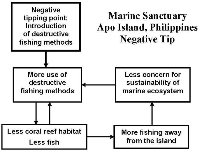 Apo Island Marine Sanctuary (Philippines)