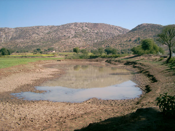 A johad in Golpapura village with part of the village forest in the background