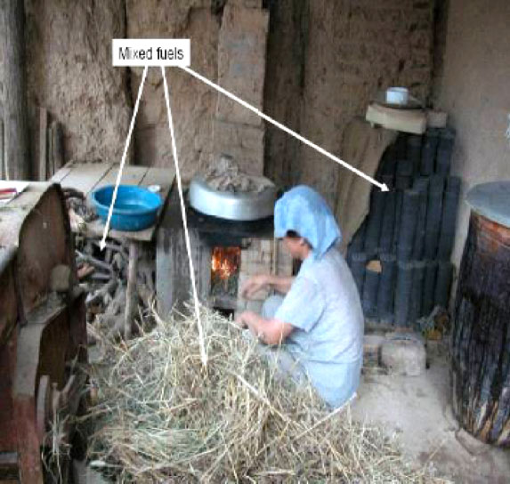 Figure 1. Cooking in rural China