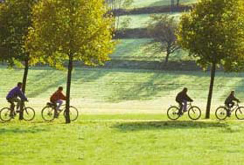 Park with bike path along the Dreisam River