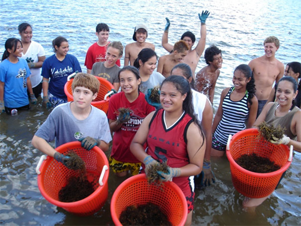 Figure 4. Students helping with algae removal at the fishpond