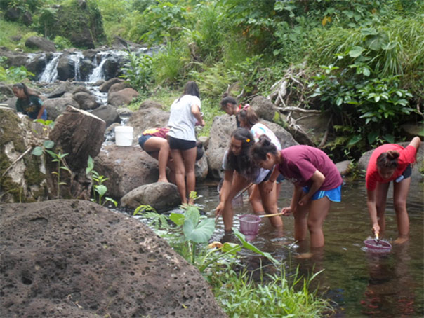Figure 10. Students from Kamehameha Schools catch invasive species of fish
