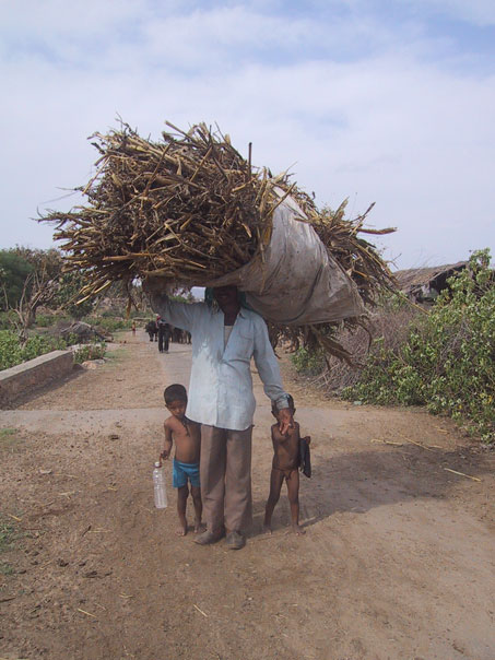 Carrying firewood for cooking