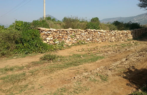 Aniket around an agricultural field