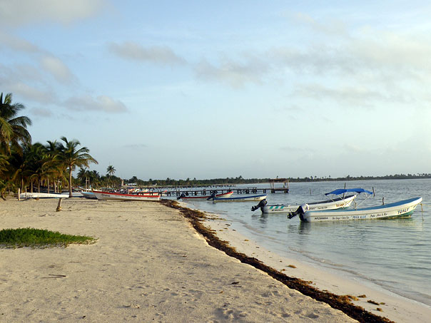 Beach/Punta Allen beach with lobster fishing boats.