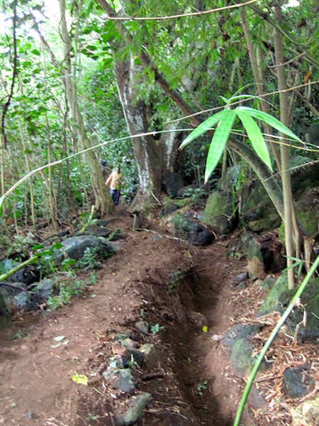 Newly restored mile-long 'auwai on Kaua'i