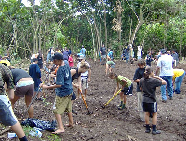 Lo'i restoration work in Iao Valley, Maui