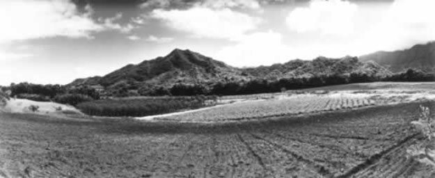 Figure 4. A diversified family farm in Waiahole Valley