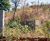 Vermicomposting bin.