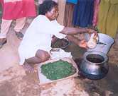 Processing neem leaves