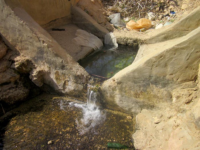 The Al Auja spring has been severely polluted and overdrawn.