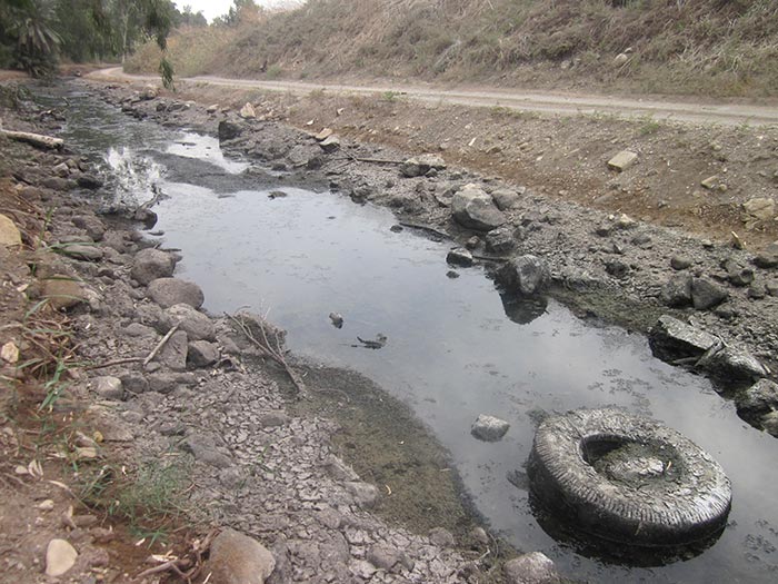 Sewage stream draining into the Jordan.