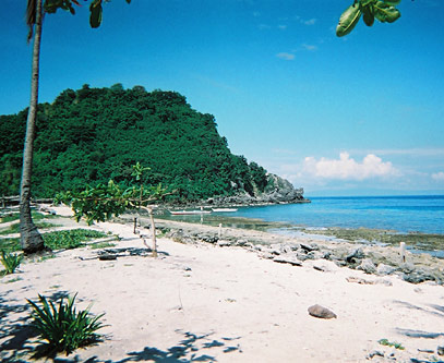 Figure 4. Apo Island’s marine sanctuary.