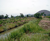 Farm panorama