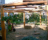 The 55th Street Community Garden