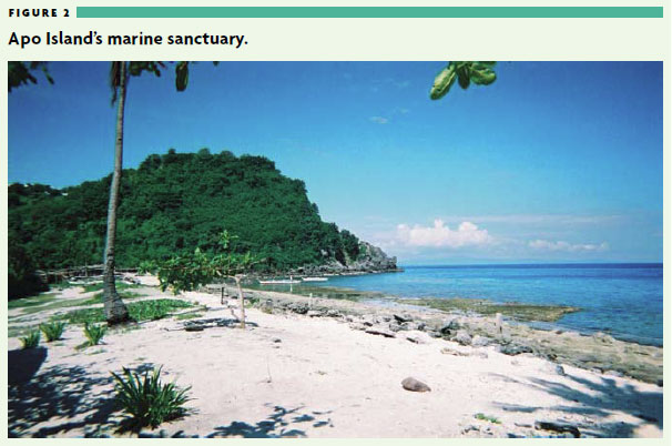 Figure 2 - Apo Island's marine sanctuary