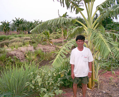 Thanawm Chuwaingan at his farm. The agroforestry features a variety of trees and crops for food, medicine, and other uses. 