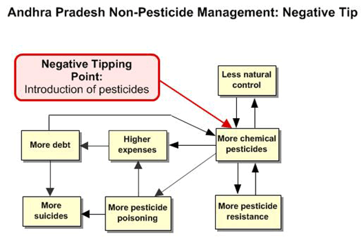 Figure 9. Vicious cycles responsible for the pesticide trap in Andhra Pradesh, India.