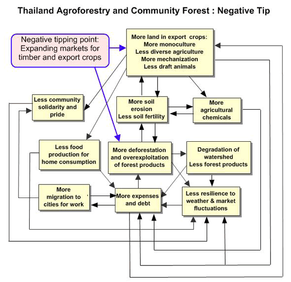 Figure 14. Vicious cycles driving deforestation in Nakhon Sawan province, Thailand.