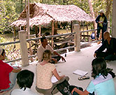 Mangrove Management - Thailand